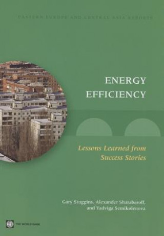 Buch Energy Efficiency Yadviga Semikolenova