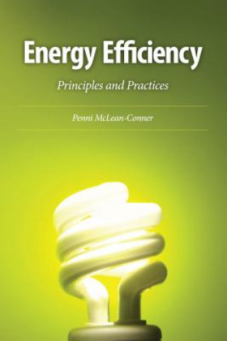 Kniha Energy Efficiency Penni McLean-Conner