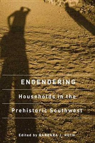 Könyv ENGENDERING HOUSEHOLDS IN THE PREHISTORIC SOUTHWEST 