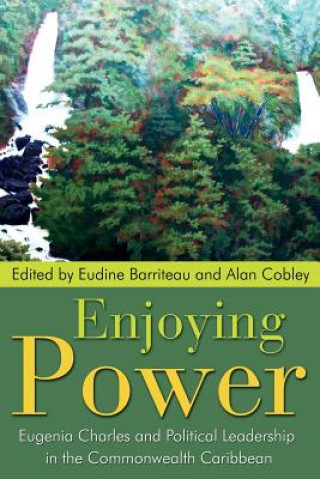 Kniha Enjoying Power Eudine Barriteau