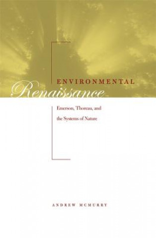 Carte Environmental Renaissance McMurry