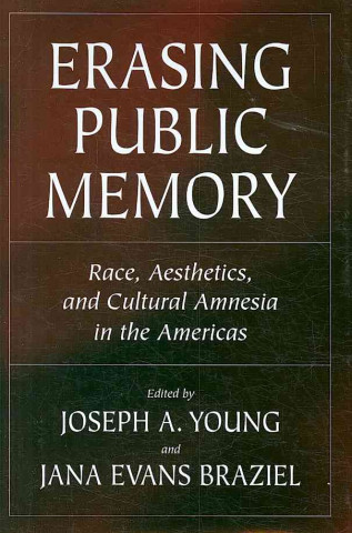 Kniha Erasing Public Memory: Race, Aesthetics, And Cultural Amnesia In The Americas (H736/Mrc) 