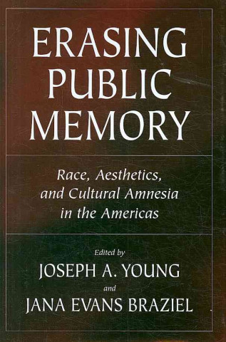 Книга Erasing Public Memory: Race, Aesthetics, And Cultural Amnesia In The Americas (H736/Mrc) 