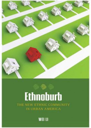 Buch Ethnoburb Wei Li