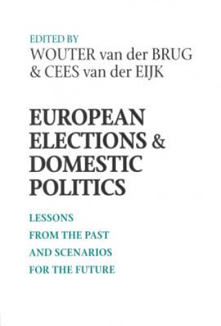 Kniha European Elections and Domestic Politics 