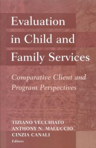 Knjiga Evaluation in Child and Family Services 