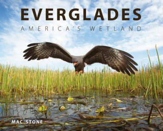Kniha Everglades Mac Stone
