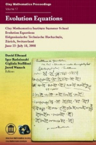 Knjiga Evolution Equations Clay Mathematics Institute