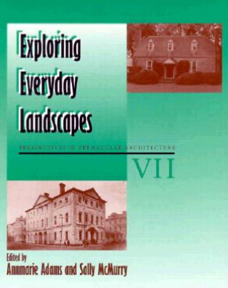 Kniha Exploring Everyday Landscapes Annmarie Adams
