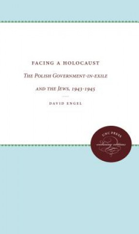 Könyv Facing a Holocaust David Engel