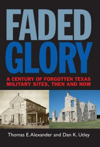 Book Faded Glory Dan K. Utley