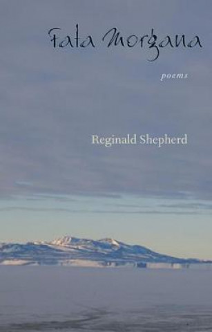 Libro Fata Morgana Reginald Shepherd