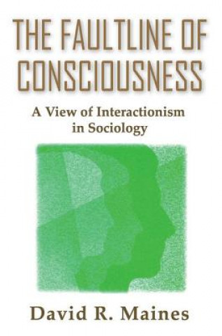 Buch Faultline of Consciousness David R. Maines