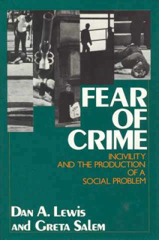 Könyv Fear of Crime Greta Salem