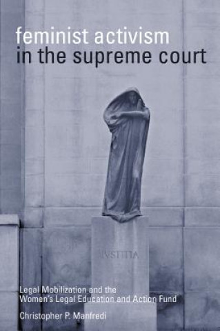 Könyv Feminist Activism in the Supreme Court Christopher P. Manfredi