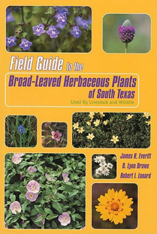 Könyv Field Guide to the Broad-leaved Herbaceous Plants of South Texas Robert I. Lonard
