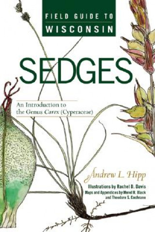 Carte Field Guide to Wisconsin Sedges Andrew Hipp