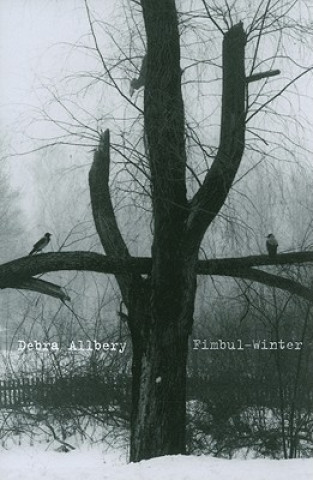 Kniha Fimbul-Winter Debra Allbery