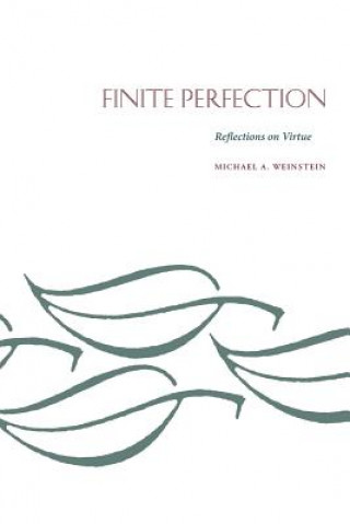 Book Finite Perfection Michael A. Weinstein