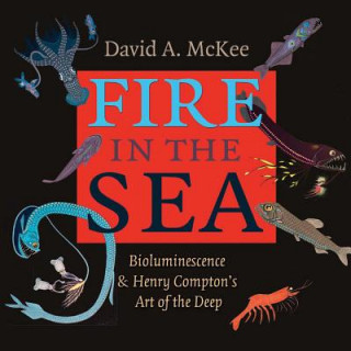 Kniha Fire in the Sea David A. McKee