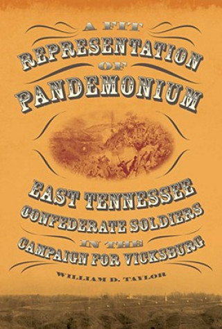 Kniha Fit Representation of Pandemonium William D. Taylor