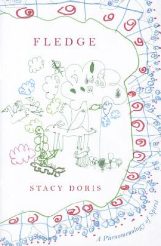 Kniha Fledge Stacy Doris
