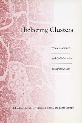 Kniha Flickering Clusters Cheryl Ney