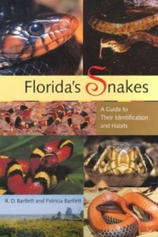 Könyv Florida's Snakes Patricia P. Bartlett
