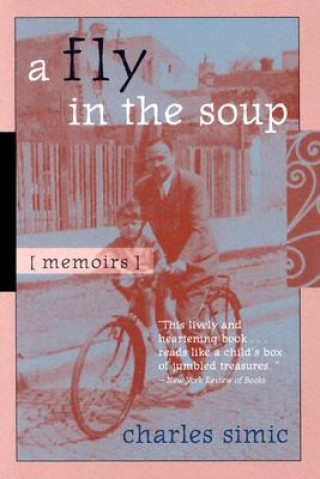 Könyv Fly in the Soup Charles Simic