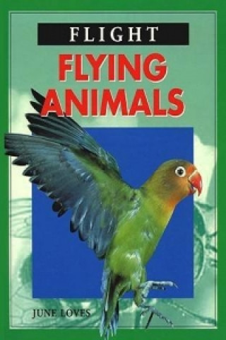 Knjiga Flying Animals June Loves