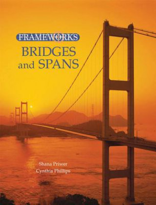 Kniha Frameworks: Bridges and Spans, Skyscrapers and High Rises, Dams and Waterways, Ancient Monuments, Modern Wonders Shana Priwer