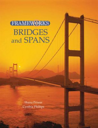 Livre Frameworks: Bridges and Spans, Skyscrapers and High Rises, Dams and Waterways, Ancient Monuments, Modern Wonders Shana Priwer