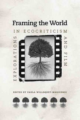 Kniha Framing the World Paula Willoquet-Maricondi