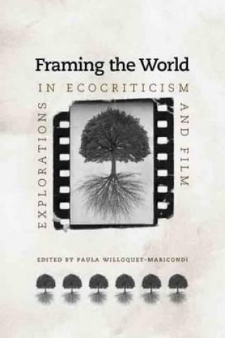 Kniha Framing the World Paula Willoquet-Maricondi