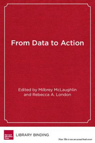 Book From Data to Action Milbrey Mclaughlin