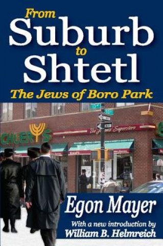 Knjiga From Suburb to Shtetl Egon Mayer