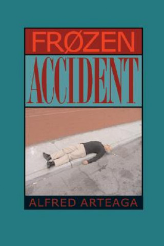 Boek Frozen Accident Alfred Arteaga
