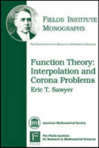 Knjiga Function Theory Eric T. Sawyer