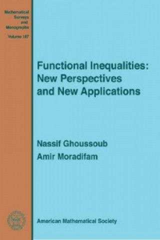 Book Functional Inequalities Ghoussoub
