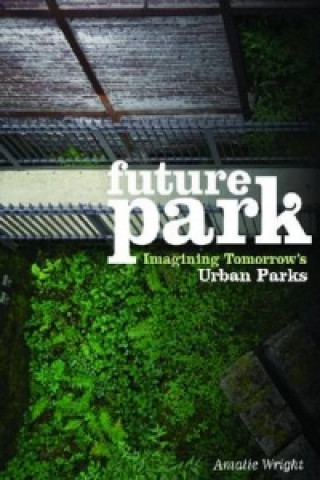 Kniha Future Park Amalie Wright