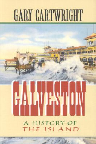 Buch Galveston Gary Cartwright