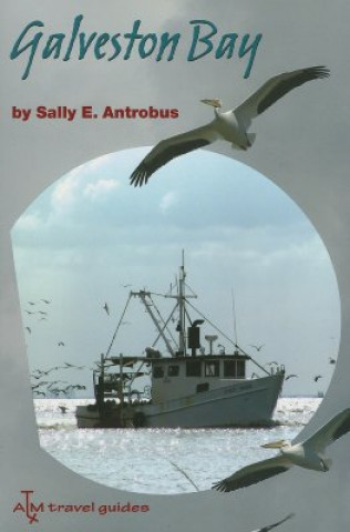 Buch Galveston Bay Sally Antrobus