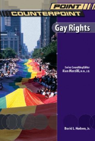 Könyv Gay Rights David Hudson