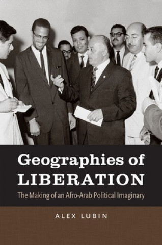 Könyv Geographies of Liberation Alex Lubin