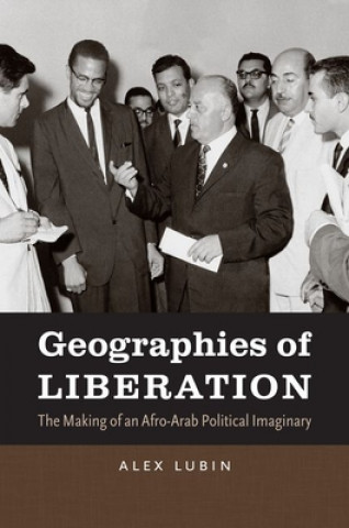 Βιβλίο Geographies of Liberation Alex Lubin