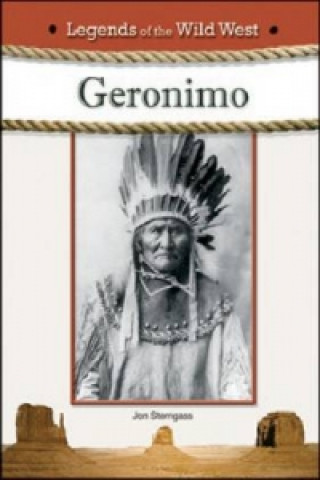 Knjiga GERONIMO Mr Jon Sterngass