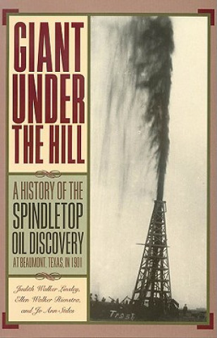 Könyv Giant Under the Hill Ellen Walker Rienstra
