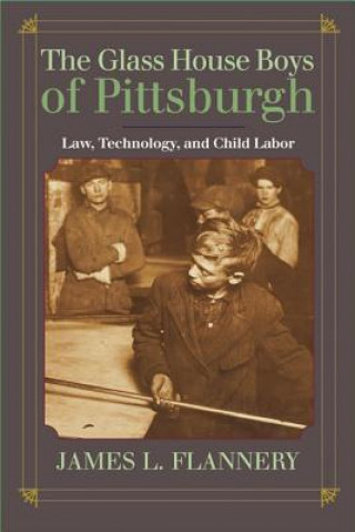 Knjiga Glass House Boys of Pittsburgh James L. Flannery