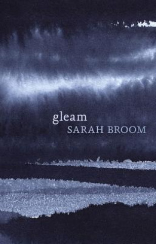 Kniha Gleam Sarah Broom