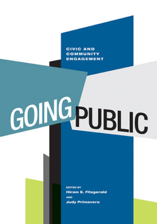 Buch Going Public Hiram E. Fitzgerald